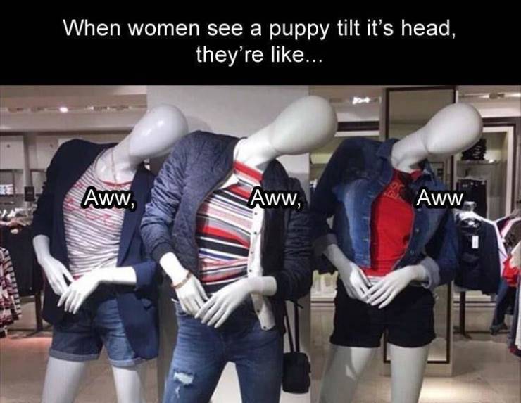 funny picdump 53 pics 9.html - 53 HD Photos | Premium Gallery 2019