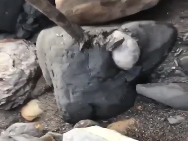 page,5,top 75 videos of the year 2019.html - 1 HD Video | Premium Gallery 2019