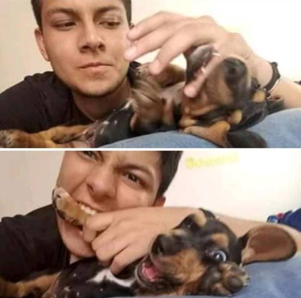 page,3,top 750 daily pics of the year 2019.html - 1 HD Photos | Premium Gallery 2019