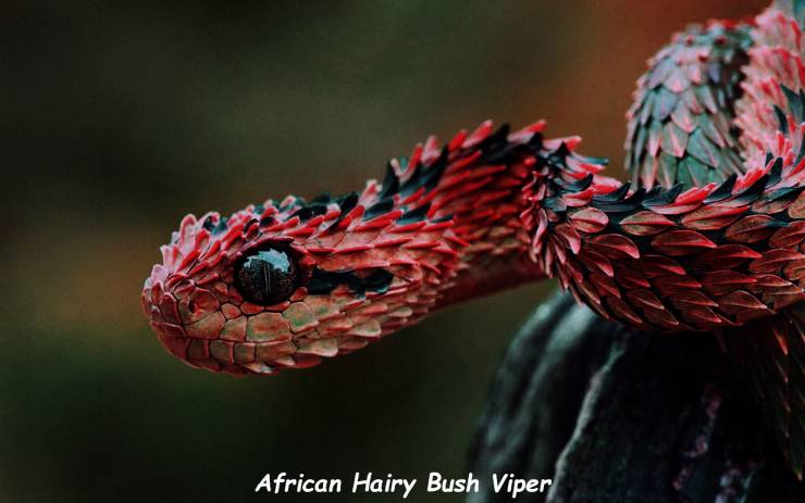 daily picdump 100 pics 47.html - 100 HD Photos | Premium Gallery 2019