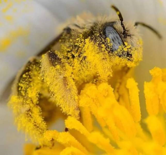 daily picdump 100 pics 47.html - 100 HD Photos | Premium Gallery 2019