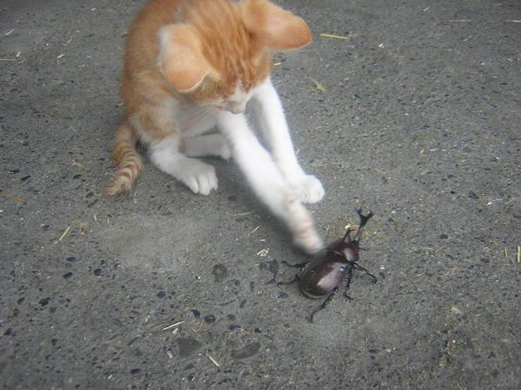 daily picdump 100 pics 47.html - 100 HD Photos | Premium Gallery 2019