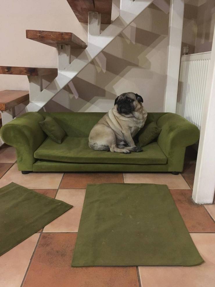 daily picdump 100 pics 47.html - 100 HD Photos | Premium Gallery 2019