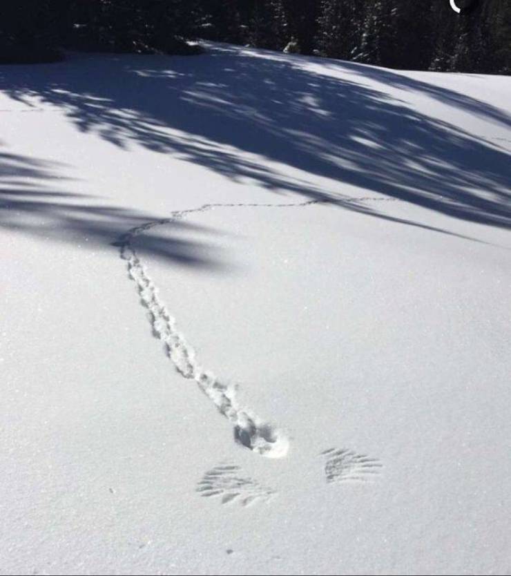 daily picdump 100 pics 47.html - 100 HD Photos | Premium Gallery 2019