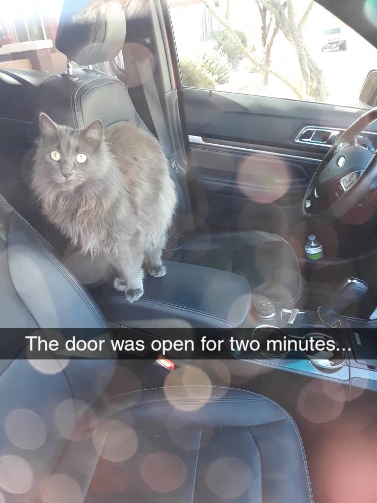 funny picdump 51 pics 12.html - 51 HD Photos | Premium Gallery 2019