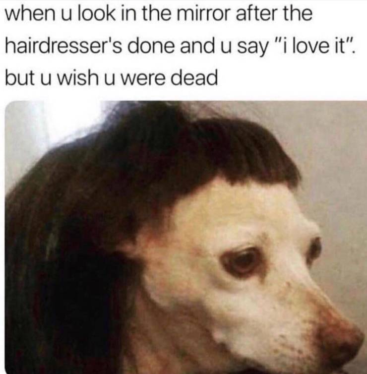 funny picdump 51 pics 12.html - 51 HD Photos | Premium Gallery 2019