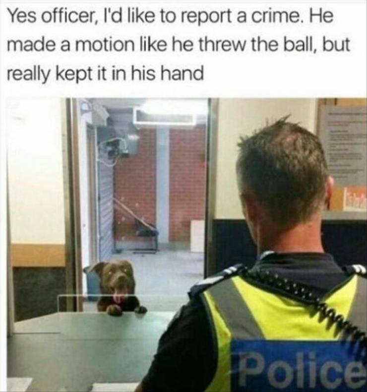 funny picdump 51 pics 12.html - 51 HD Photos | Premium Gallery 2019