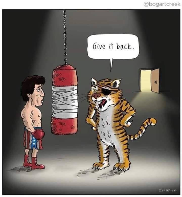 funny picdump 52 pics 21.html - 52 HD Photos | Premium Gallery 2019