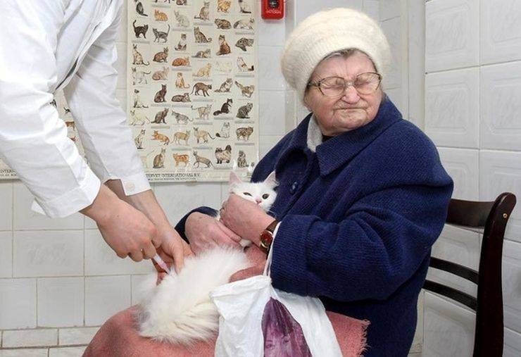 page,21,top 750 daily pics of the year 2019.html - 1 HD Photos | Premium Gallery 2019