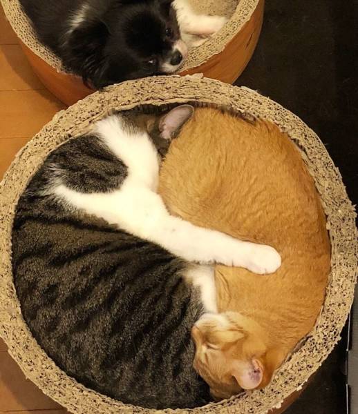 page,21,top 750 daily pics of the year 2019.html - 1 HD Photos | Premium Gallery 2019