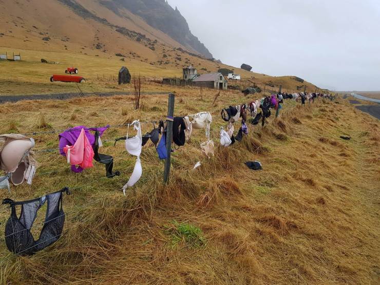 Sometimes You Just Can’t Explain…