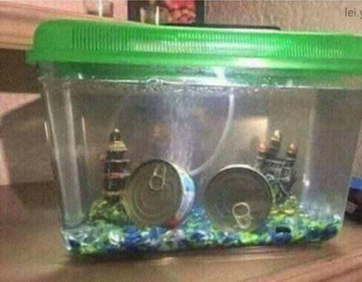 Sometimes You Just Can’t Explain…