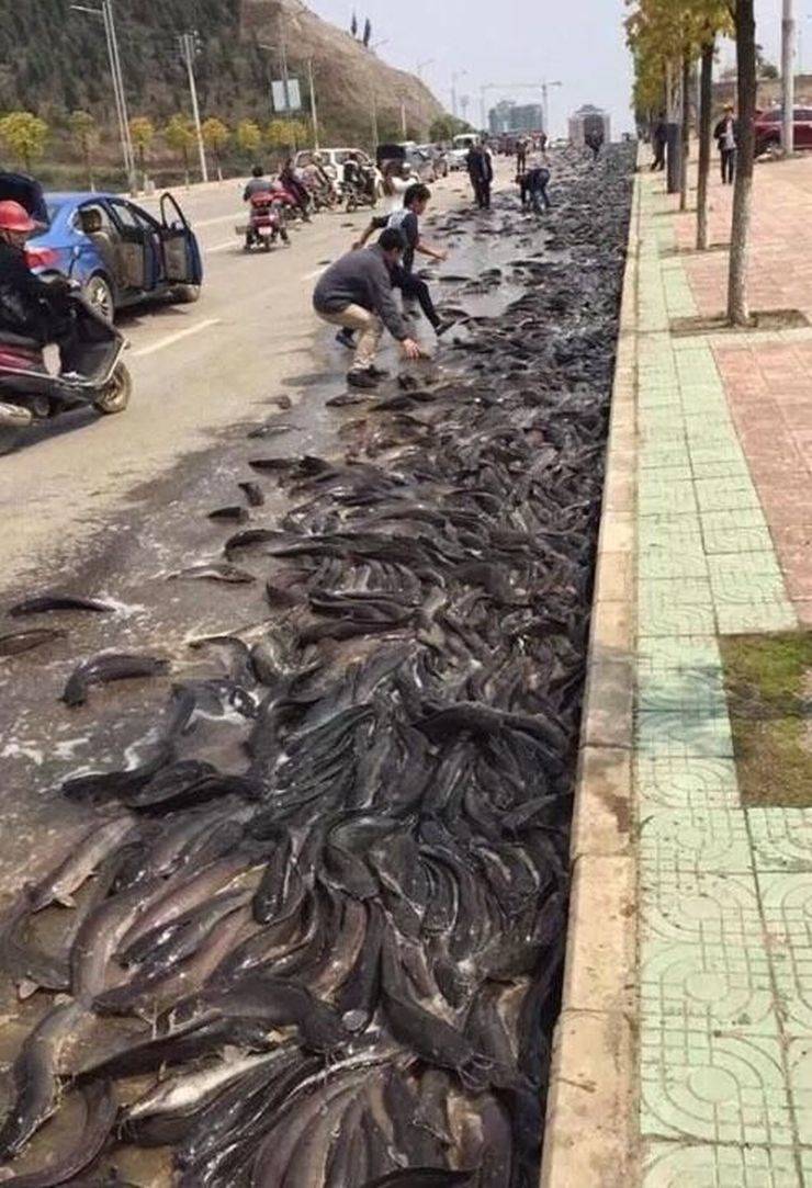 Sometimes You Just Can’t Explain…