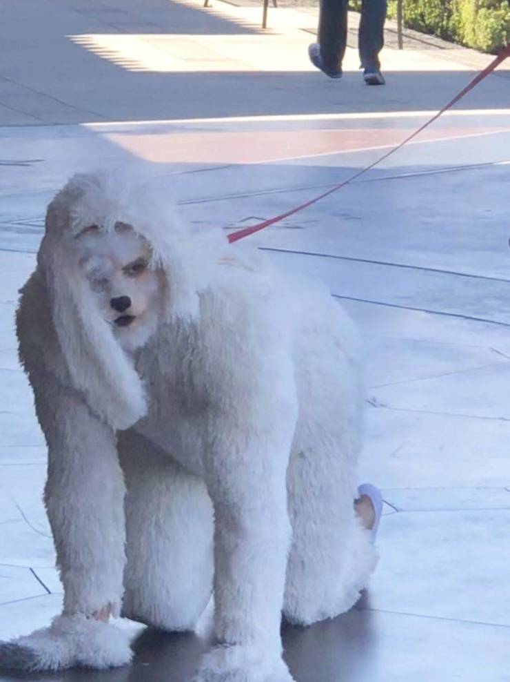 Sometimes You Just Can’t Explain…