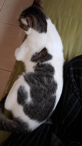 page,6,top 250 morning pics of the year 2019.html - 1 HD Photos | Premium Gallery 2019