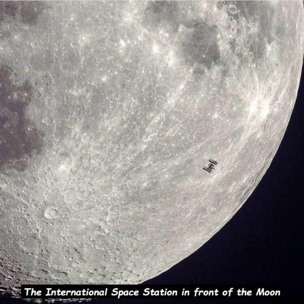 page,12,top 750 daily pics of the year 2019.html - 1 HD Photos | Premium Gallery 2019