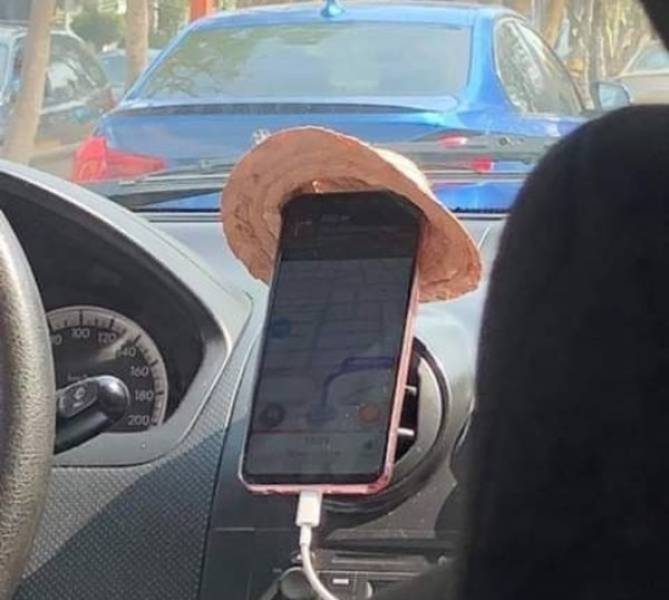 page,4,top 100 posts of the year 2019.html - 1 HD Gallery | Premium Gallery 2019