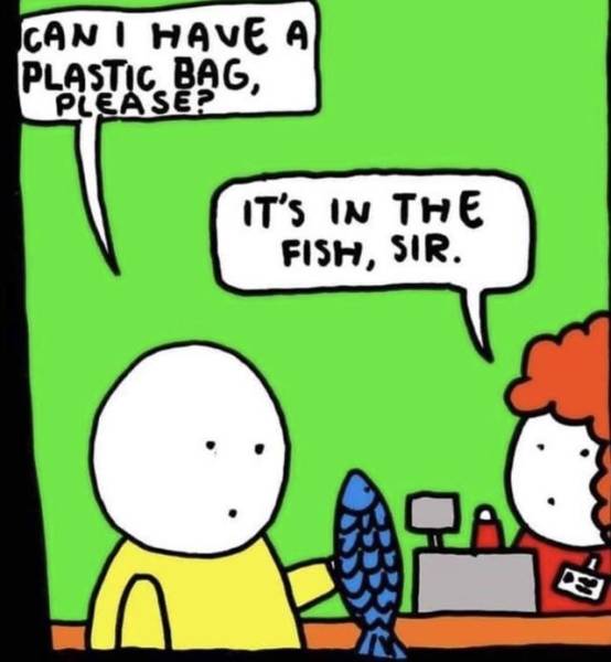 page,2,top 250 funny pics of the year 2019.html - 1 HD Photos | Premium Gallery 2019