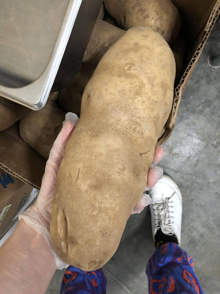 morning picdump 54 pics 7.html - 54 HD Photos | Premium Gallery 2019