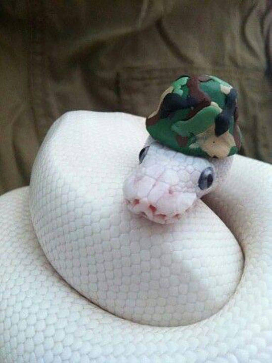 morning picdump 54 pics 7.html - 54 HD Photos | Premium Gallery 2019