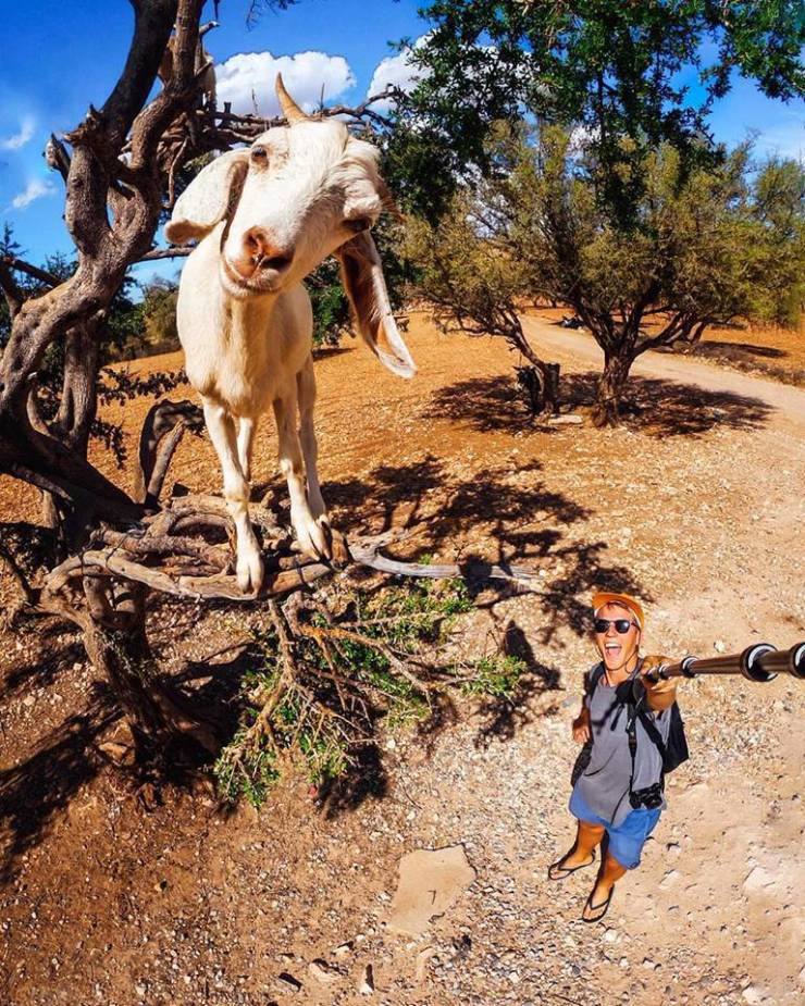 morning picdump 54 pics 7.html - 54 HD Photos | Premium Gallery 2019