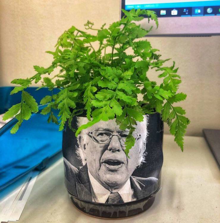 morning picdump 54 pics 7.html - 54 HD Photos | Premium Gallery 2019