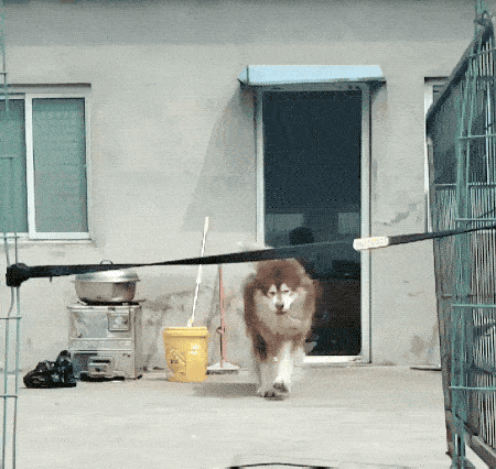 fail gifs are both hilarious and educational 36 gifs 8.html - 1 HD GIF | Premium Gallery 2019