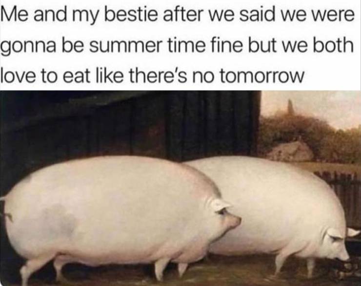 funny picdump 50 pics 15.html - 50 HD Photos | Premium Gallery 2019