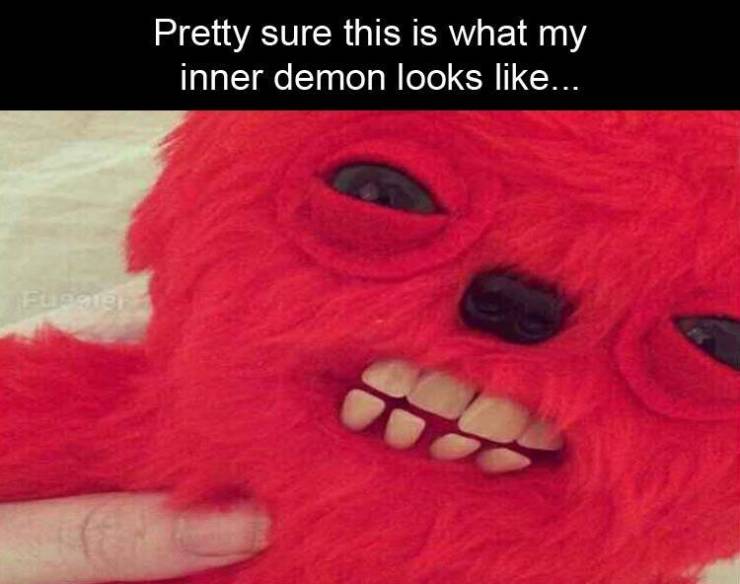 funny picdump 50 pics 15.html - 50 HD Photos | Premium Gallery 2019