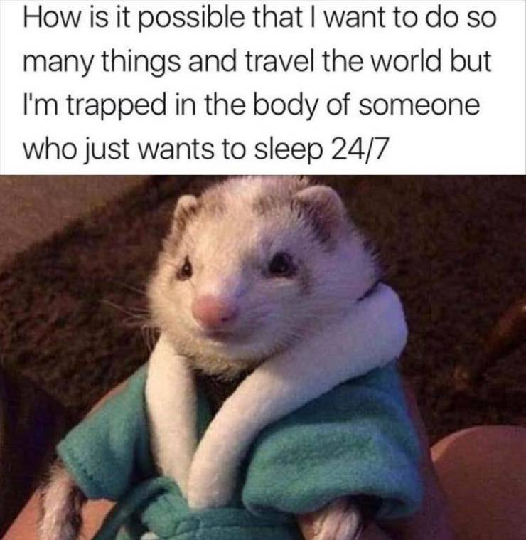 funny picdump 50 pics 15.html - 50 HD Photos | Premium Gallery 2019