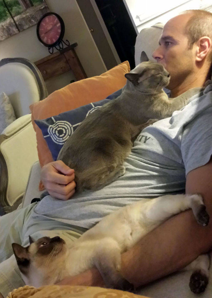 They Said They Didn’t Want A Cat…