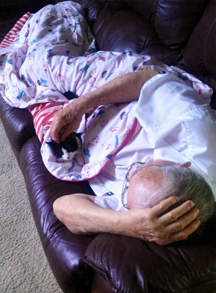 They Said They Didn’t Want A Cat…