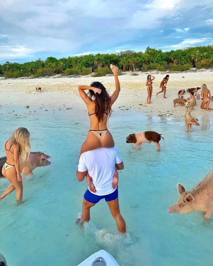 grownup corner 73 pics 28.html - 73 HD Photos | Premium Gallery 2019