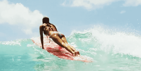 hot surfer girls in all their glory 36 gifs 5.html - 1 HD GIF | Premium Gallery 2019