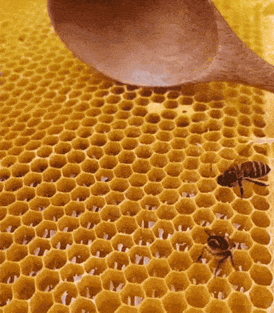 Hypnotists Could Use These GIFs As Their Tools