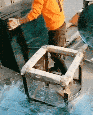 Hypnotists Could Use These GIFs As Their Tools