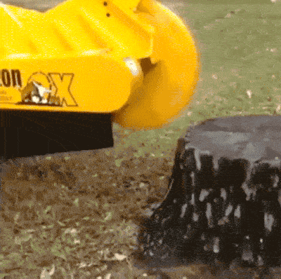 Hypnotists Could Use These GIFs As Their Tools