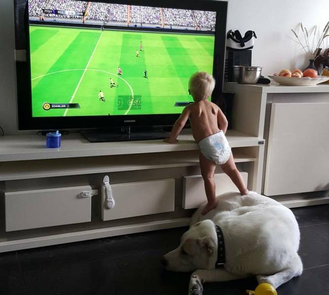 daily picdump 100 pics 31.html - 100 HD Photos | Premium Gallery 2019