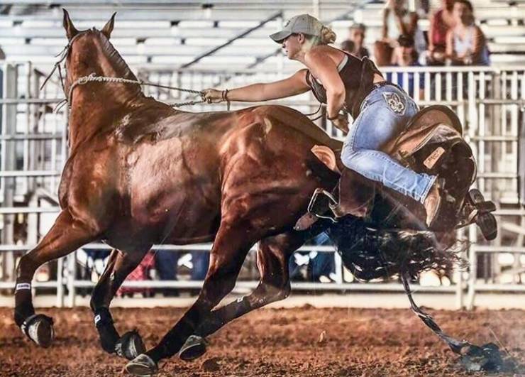 daily picdump 100 pics 31.html - 100 HD Photos | Premium Gallery 2019