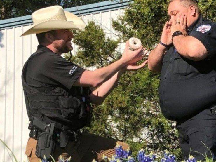 daily picdump 100 pics 31.html - 100 HD Photos | Premium Gallery 2019