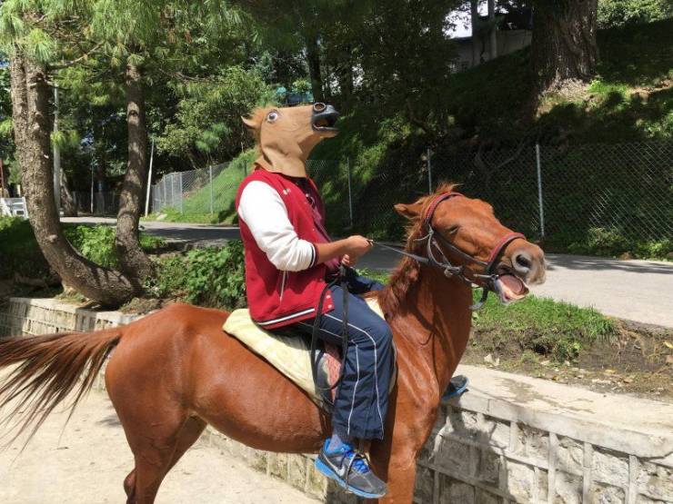 daily picdump 100 pics 31.html - 100 HD Photos | Premium Gallery 2019