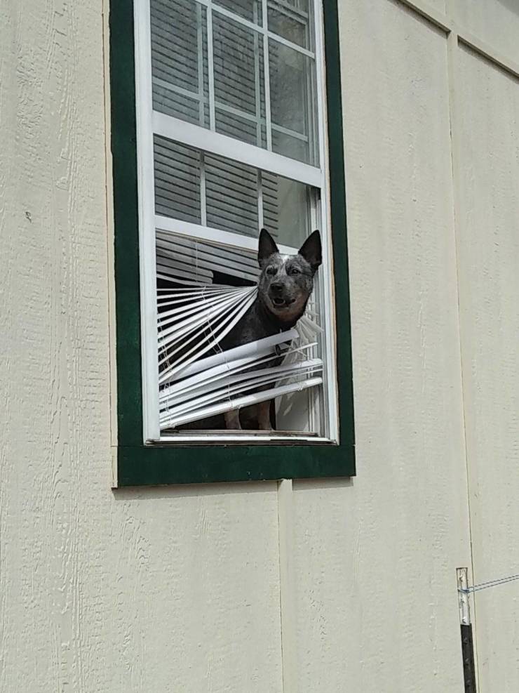 daily picdump 100 pics 31.html - 100 HD Photos | Premium Gallery 2019