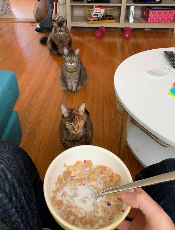 daily picdump 100 pics 31.html - 100 HD Photos | Premium Gallery 2019