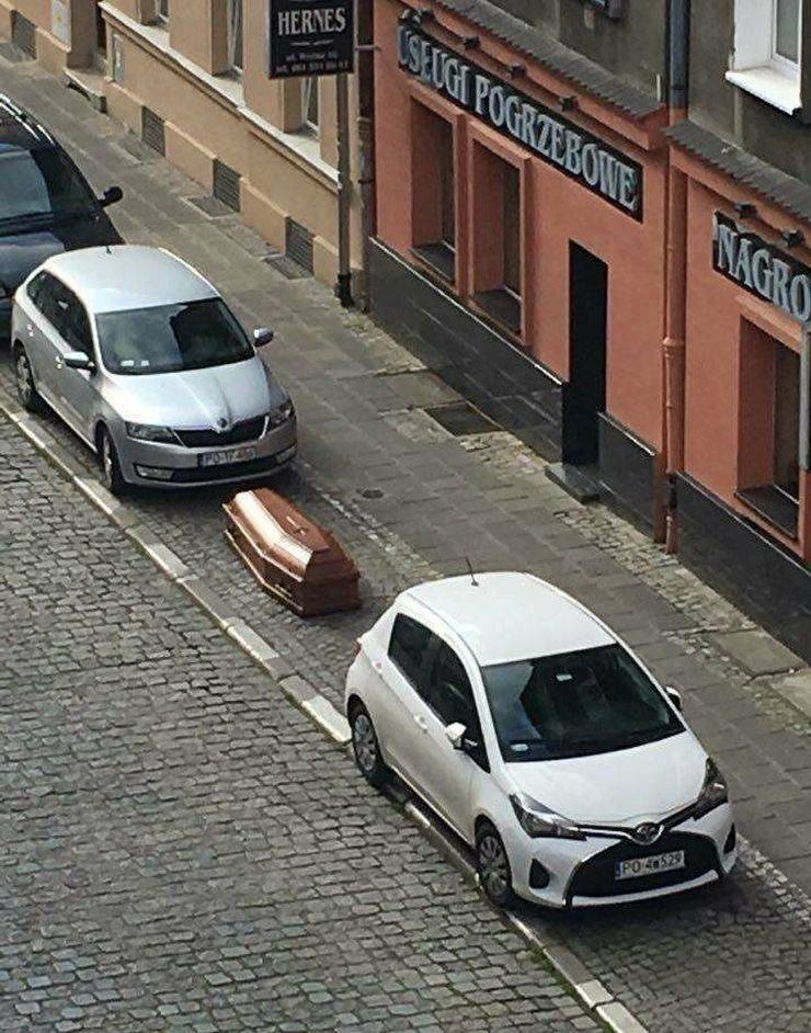 daily picdump 100 pics 31.html - 100 HD Photos | Premium Gallery 2019