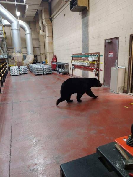 page,22,top 750 daily pics of the year 2019.html - 1 HD Photos | Premium Gallery 2019