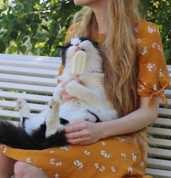 page,22,top 750 daily pics of the year 2019.html - 1 HD Photos | Premium Gallery 2019