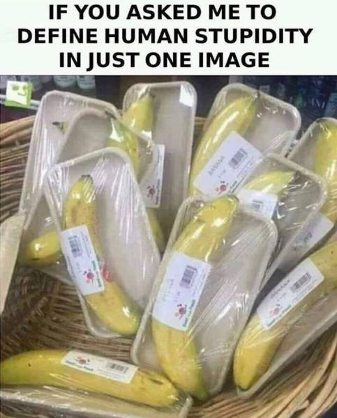 page,2,top 250 funny pics of the year 2019.html - 1 HD Photos | Premium Gallery 2019