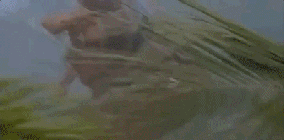 GIFs Look Much Better When Reversed