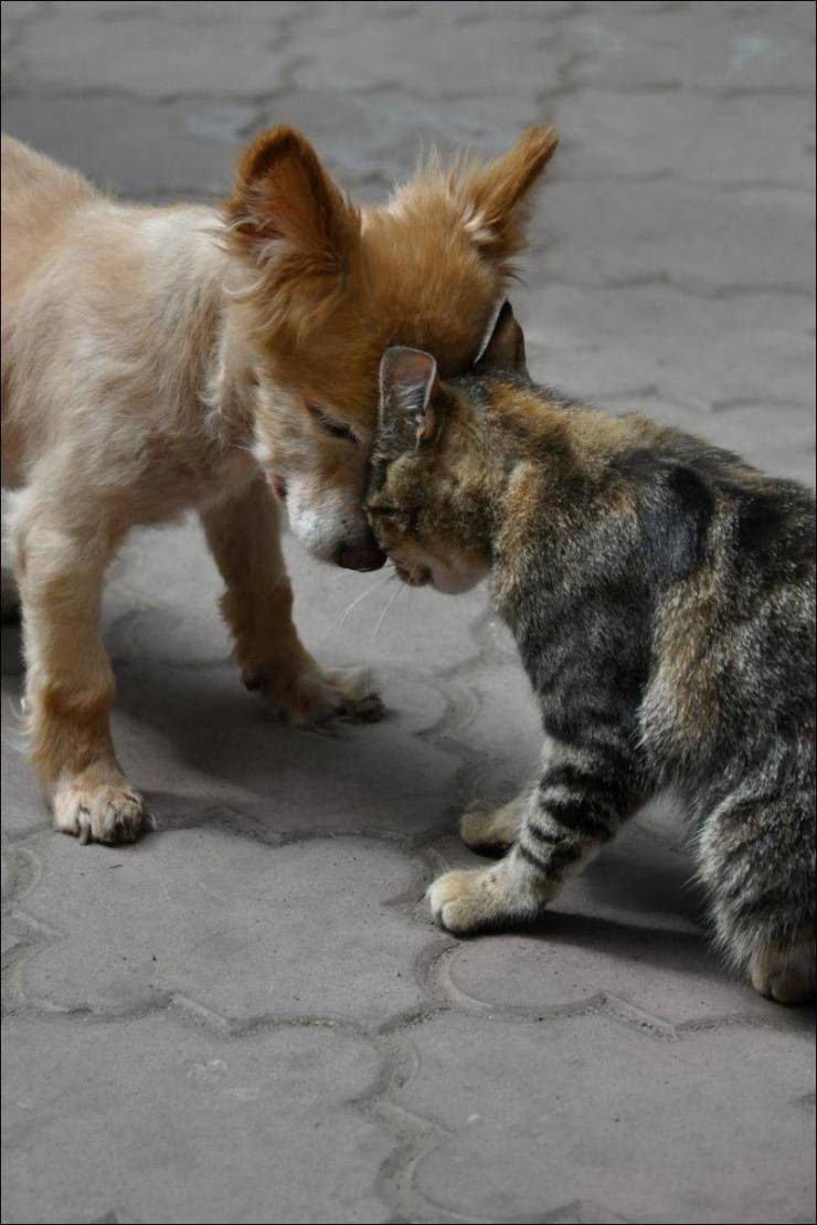 daily picdump 92 pics 38.html - 92 HD Photos | Premium Gallery 2019