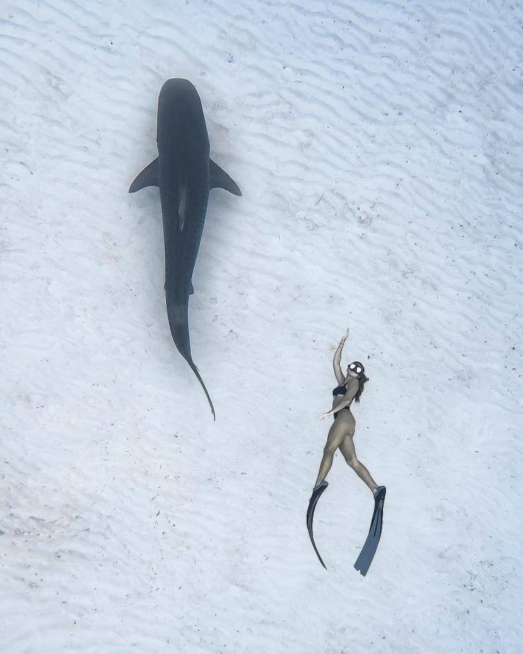 daily picdump 92 pics 38.html - 92 HD Photos | Premium Gallery 2019